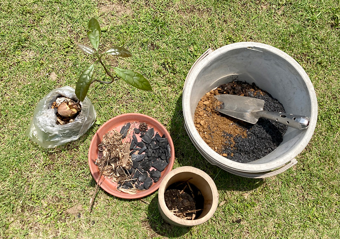 自然に還る植木鉢「竹ポット」の作り方／竹炭と落ち葉／腐葉土