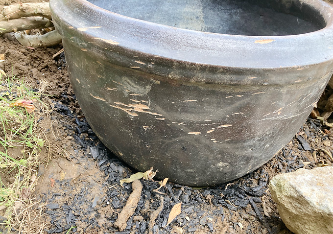 メダカ鉢の立ち上げ方法（レイアウト）：水鉢／培養土（竹炭と赤玉土）水草／ホテイソウ・アマゾンフロッグピット・アマゾンチドメグサ