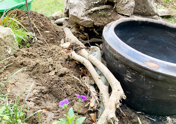 メダカ鉢の立ち上げ方法（レイアウト）：水鉢／培養土（竹炭と赤玉土）水草／ホテイソウ・アマゾンフロッグピット・アマゾンチドメグサ