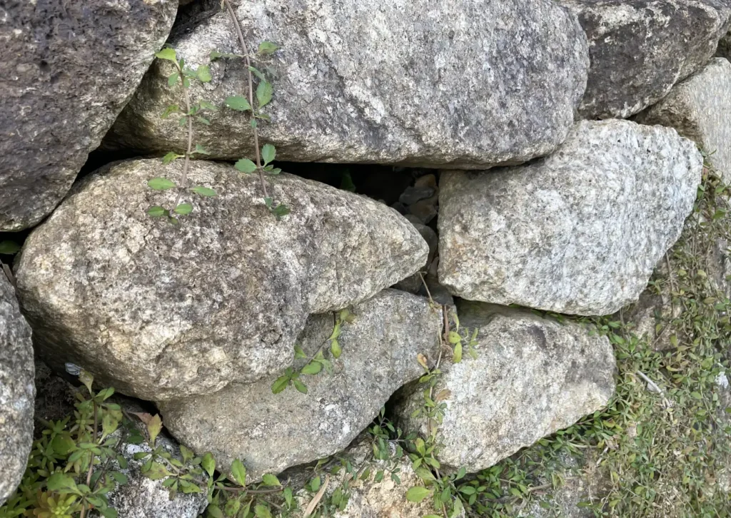 【簡単】石積DIY／庭の段差を石で埋める／木曽石／ミカゲ石／販売／購入場所／どこで買える？顔の位置／作り方／積み方