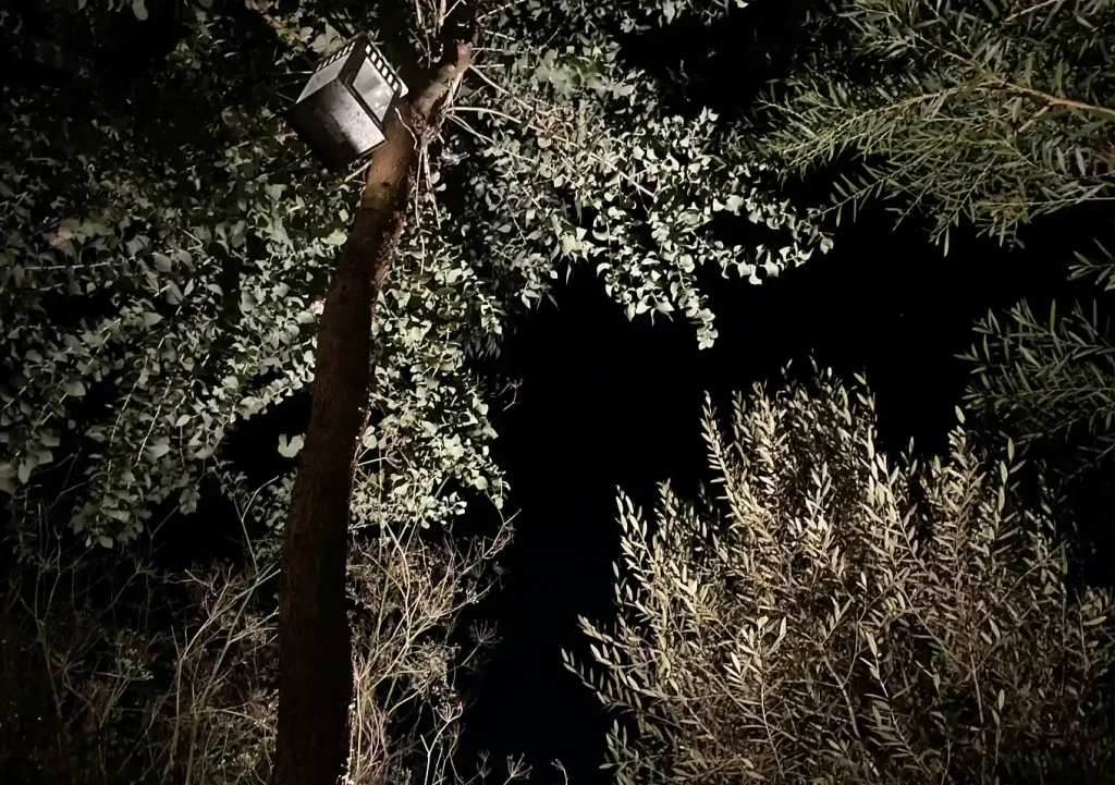 ガーデンライトDIY/ひかリノベーション「木のひかり」「壁のひかり」「地のひかり」「間のひかり」