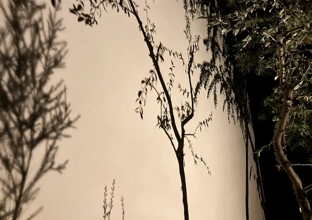 外壁に植物の影／作り方／ガーデンライトDIY/ひかリノベーション「木のひかり」「壁のひかり」「地のひかり」「間のひかり」