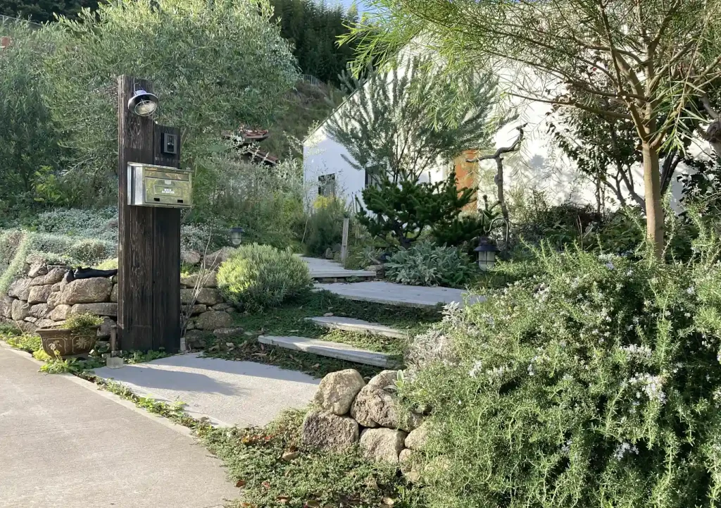 【簡単DIYガーデンアプローチ編】玄関エントランスの階段を自作する／コンクリート板／型枠作り方／グラウンドカバープランツ／植栽との共生ナチュラルガーデン・ロックガーデン