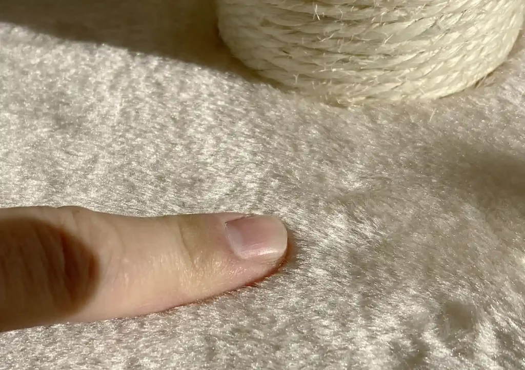 猫壱・バリバリつめとぎポール(インプレ口コミ)/使ってみた感想/猫用スタンド型/シンプルで丈夫/高さ