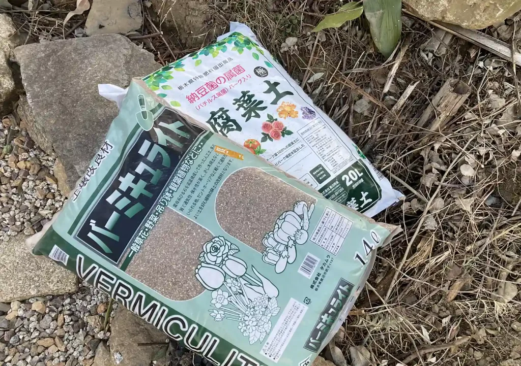 センダン（栴檀）の木の人力移植DIY／実_落葉樹庭木ガーデニング／雑木の庭／樹高育て方_鳥を呼ぶ木