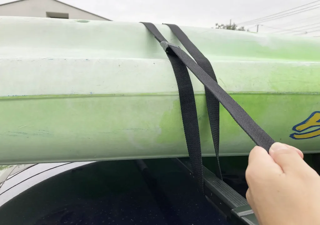 アカシア（ミモザ）の幹が裂けた！強風対策対処法方（枝折れ）剪定時期_寿命／補強ベルト