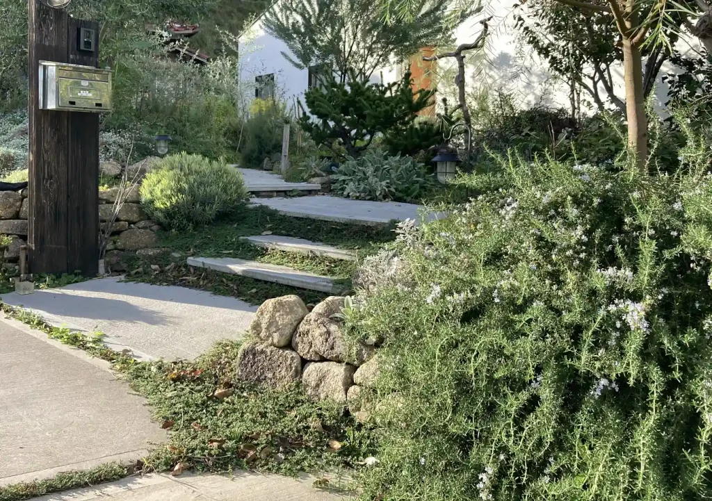 ローズマリー／這性植物で作る壁面植栽／石積み（木曽石）作り方とレイアウト