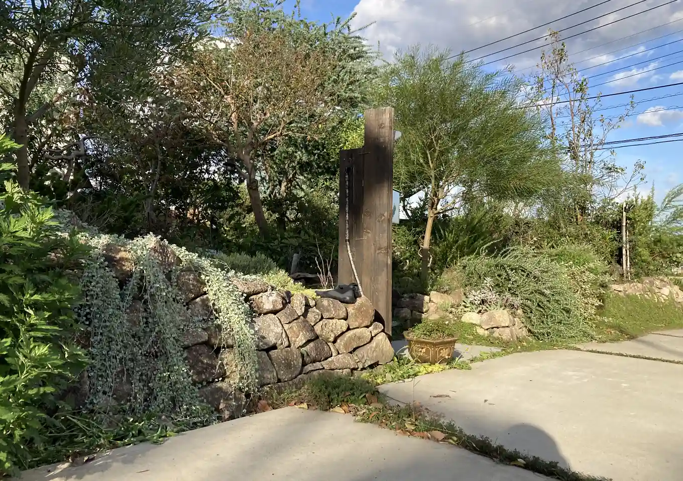 ヒメイワダレソウ／這性植物で作る壁面植栽／石積み（木曽石）作り方とレイアウト