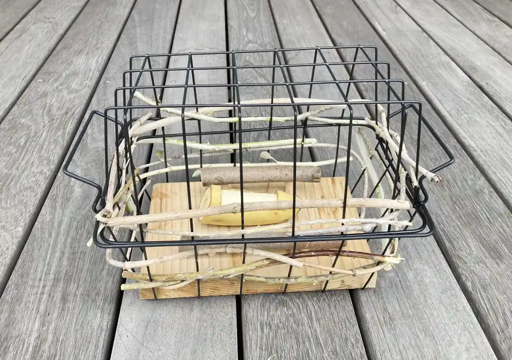 ヒヨドリ対策／小鳥用バードフィーダーの作り方／ダイソーアイテムで簡単設置