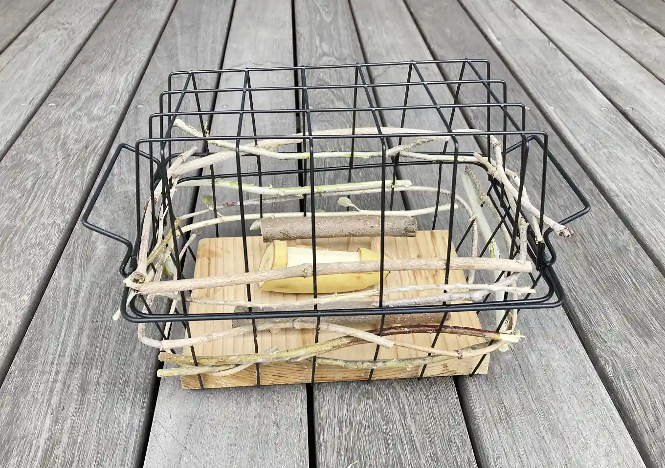 ヒヨドリ対策／小鳥用バードフィーダーの作り方／ダイソーアイテムで簡単設置