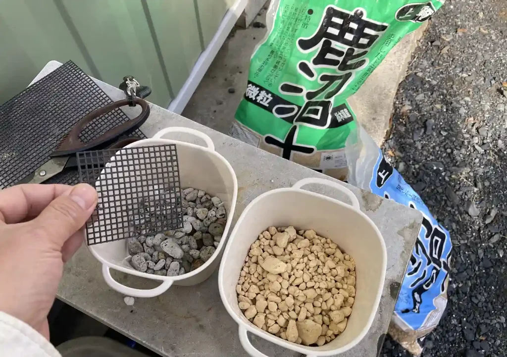 【猫草の育て方・DIY】ダイソーの機能鉢で簡単おしゃれに麦を育てる／水やりしやすい栽培