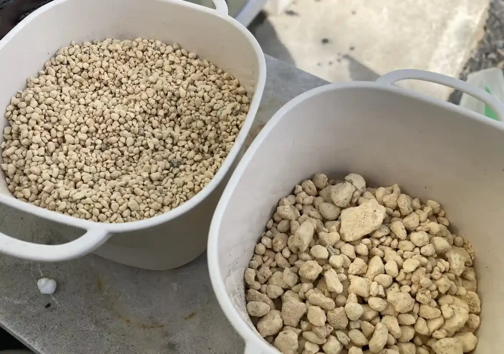 【猫草の育て方・DIY】ダイソーの機能鉢で簡単おしゃれに麦を育てる／水やりしやすい栽培