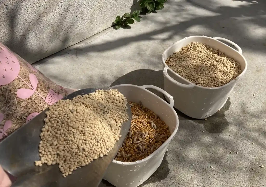 【猫草の育て方・DIY】ダイソーの機能鉢で簡単おしゃれに麦を育てる／水やりしやすい栽培