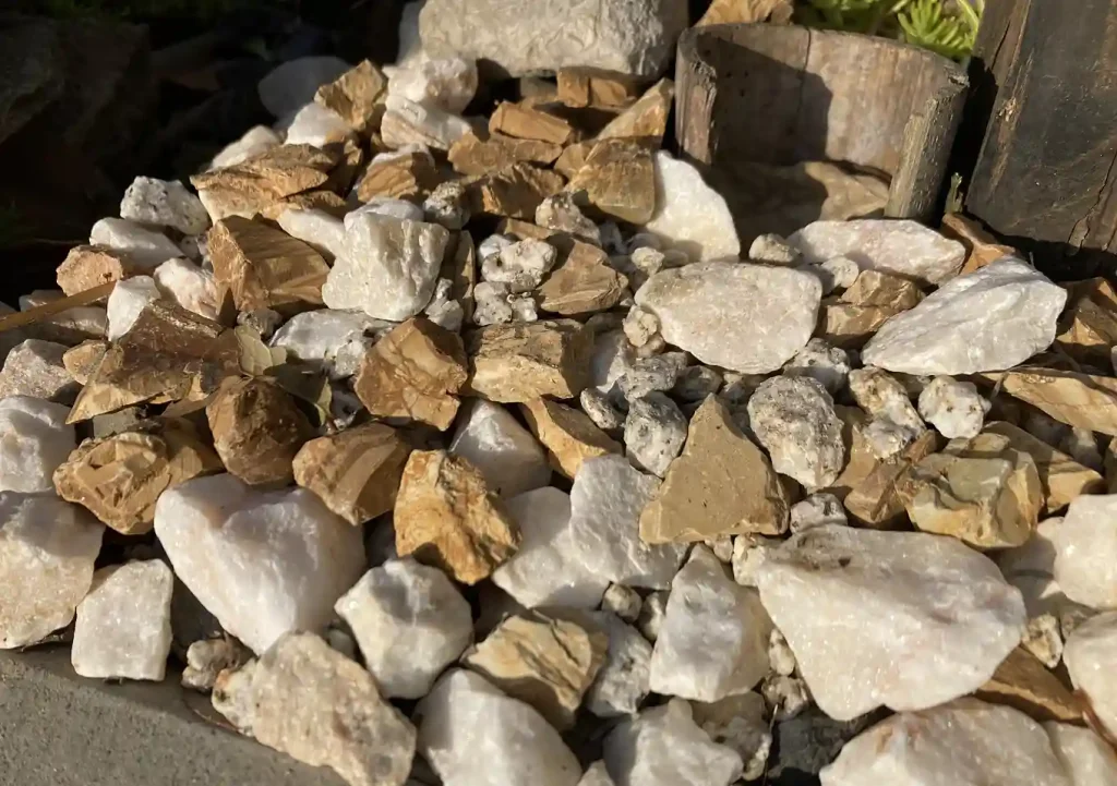 オリーブの木にゾウムシ!幹に穴と木屑/【予防】害虫被害の駆除対処方法/枯れかけている樹の復活のためにしたこと