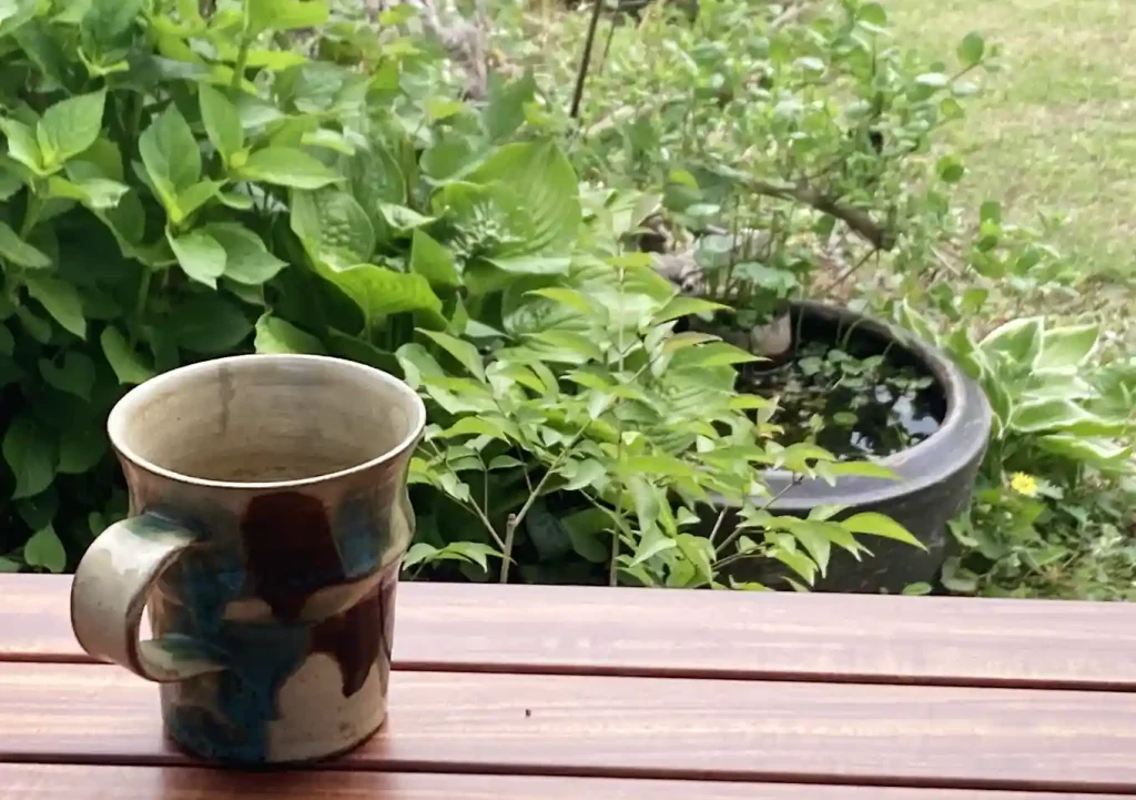 メダカ鉢の立ち上げ方_設置（作り方）庭園バードバス／管理が簡単な水草／ヌマエビ